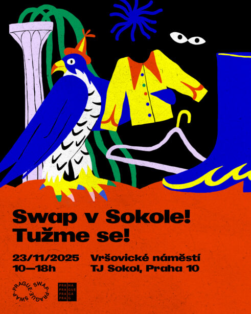 swap_ig_post_sokol_1500x1200