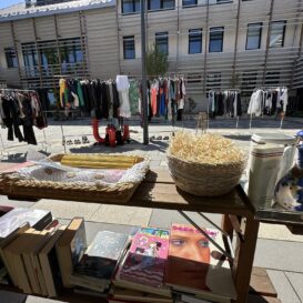 679900302_1433716078556077_4631141178546588387_n – Centrum Koruna